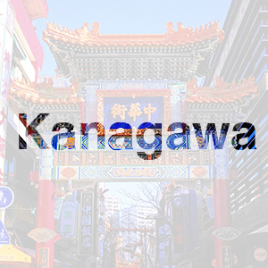 神奈川県で浮気調査・不倫調査なら実績ある探偵事務所の画像