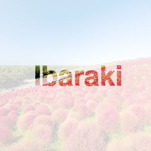 茨城県で浮気調査・不倫調査なら経験豊富な探偵事務所の画像