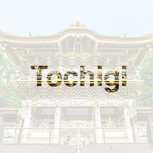 栃木県で浮気調査・不倫調査なら信頼の探偵事務所の画像