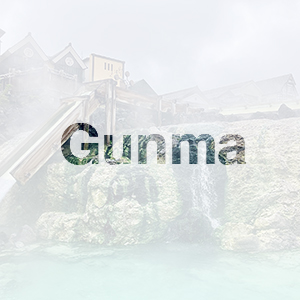 群馬県で浮気調査・不倫調査なら実績重視の探偵事務所の画像